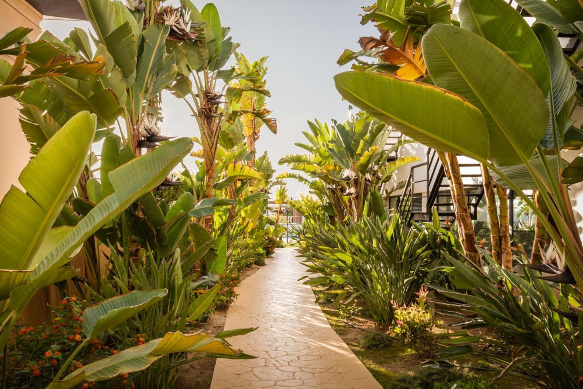 Alegria Palacio - Adults Only 4*